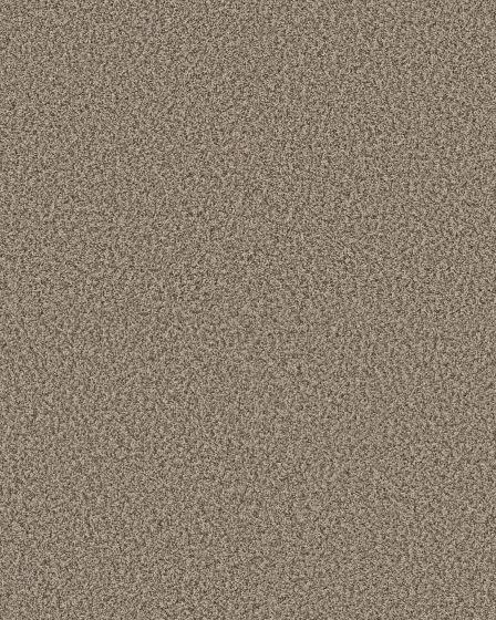 Artistic Fusion I Pet Friendly 43oz Carpet