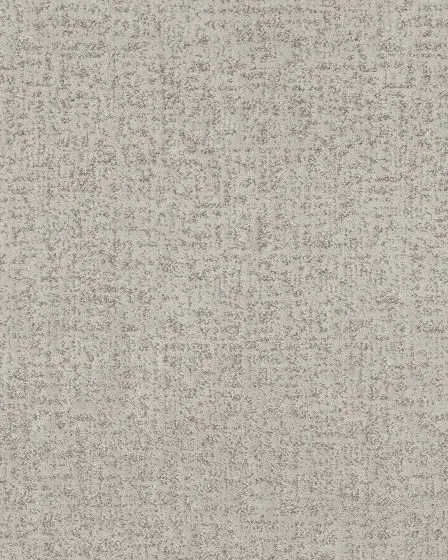 Home Within Patterned Pet Friendly 40oz Carpet