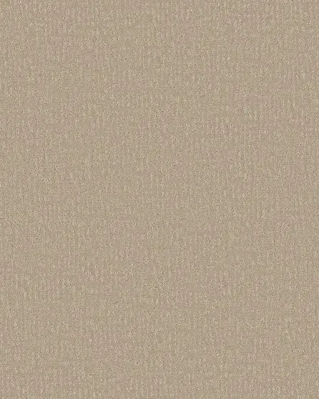 Charming Desire Twine 34oz Patterned Pet Friendly Carpet