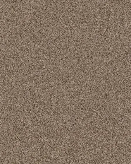 Abilene I Textured 100% Nylon 47oz Carpet