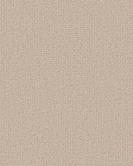 Peaceful Journey 50oz Pet Friendly Patterned Carpet