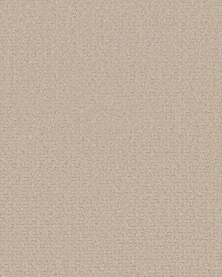Peaceful Journey Cafe Latte 50oz Pet Friendly Patterned Carpet