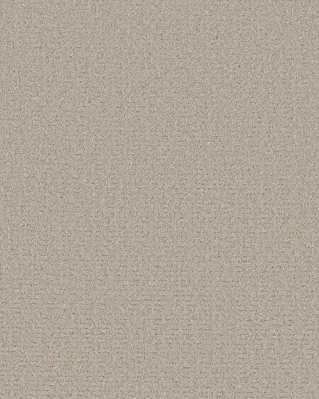 Peaceful Journey Chic Taupe 50oz Pet Friendly Patterned Carpet