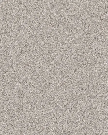 Tailored Blend II 53oz Textured Pet Friendly Carpet