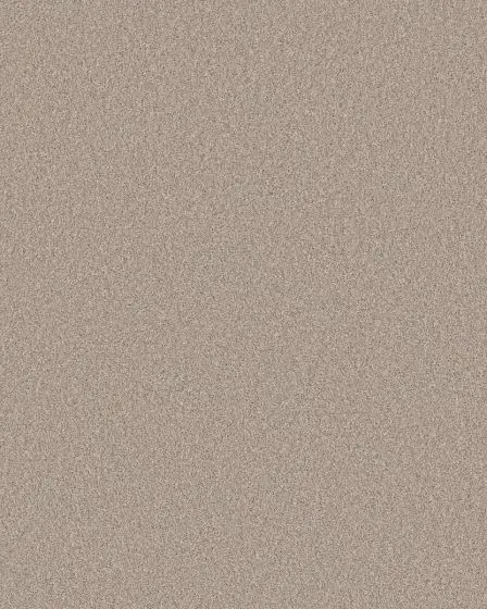 Pawsitive T Chic Taupe Pet Friendly Textured 40oz Carpet