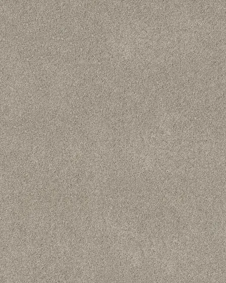 Pawsitive T Marble Pet Friendly Textured 40oz Carpet