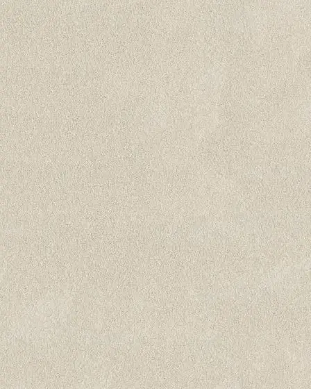 Pawsitive S Pet Friendly Textured 40oz Carpet