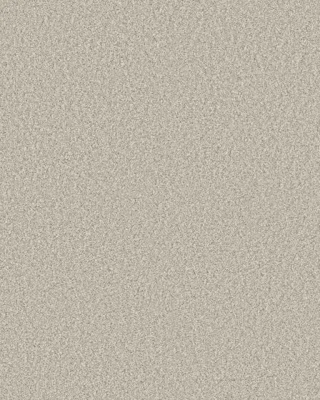 Timeless Tone 58oz Textured Pet Friendly Carpet