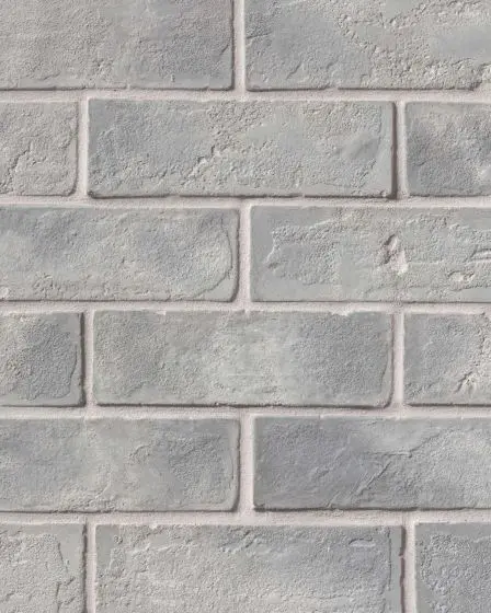 Avondale Sidewalk Matte Brick 2"x8" Tile