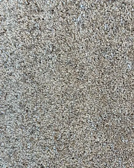 Soft Impact S Baja Textured Solid Carpet