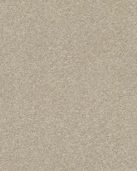 Basic Rules 58oz Textured Pet Friendly Carpet