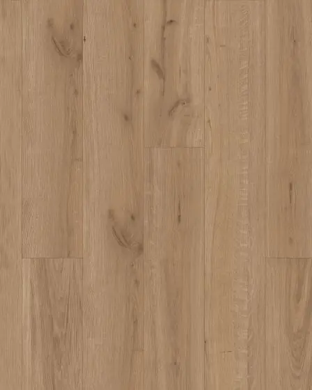 Belhancourt Toffee Burl Oak BelleLuxe 9" Laminate