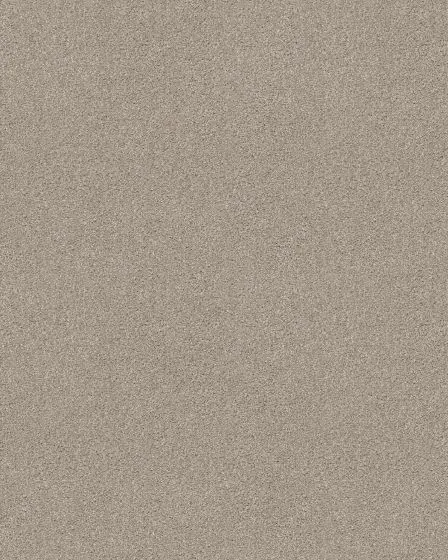 Bountiful Beauty Textured Nylon 43oz Carpet