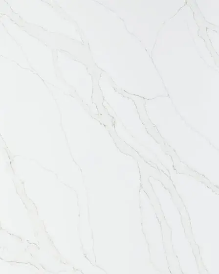 Calacatta Izaro Quartz Countertop