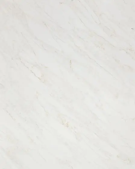 Calacatta Premata Quartz Countertop