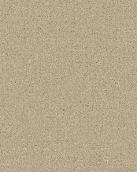 Canvas Comfort Textured Nylon 43oz Carpet