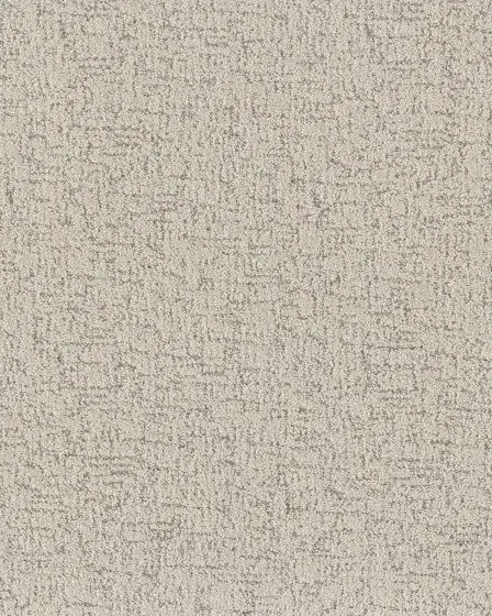 Carte Blanche Pet Friendly 43oz Pattern Carpet