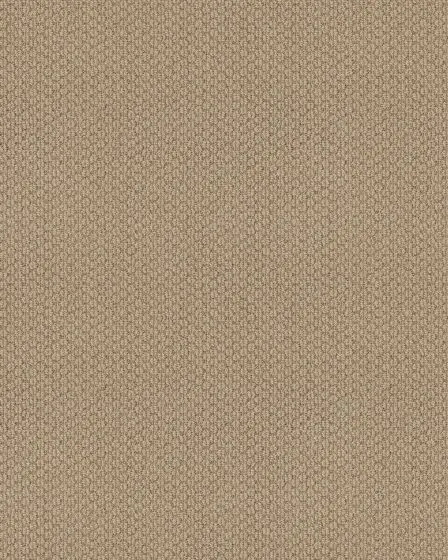 Cathedral Hill II Nylon Patterned 25oz Carpet