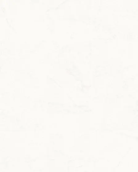 Charlotte White Satin Porcelain Tile