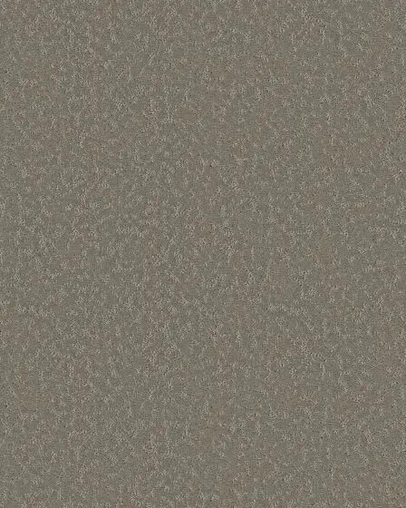 Charming Concept Fallen Acorn 34oz Patterned Pet Friendly Carpet