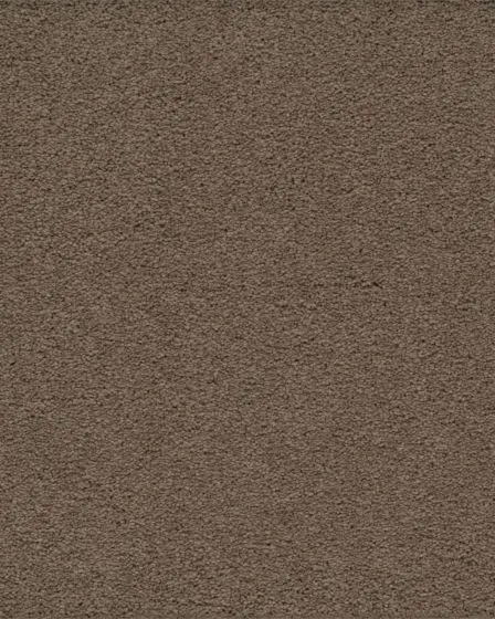 Classical Approach SmartStrand 70oz Carpet