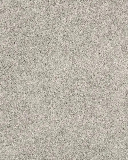 Claws and Effect I 43oz Pet Friendly Carpet