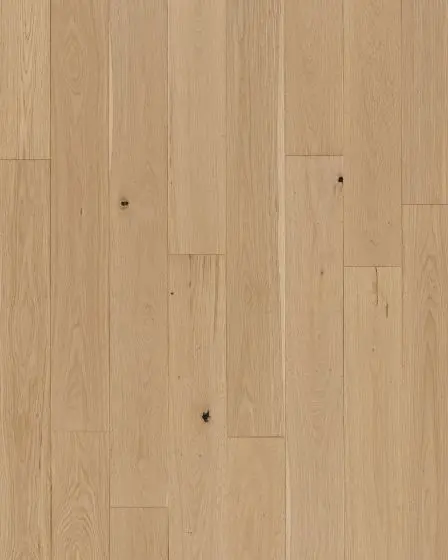 Collington Champagne Oak 7.5" White Oak Hardwood
