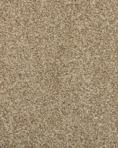 Colorful Mix II 832 Textured Carpet