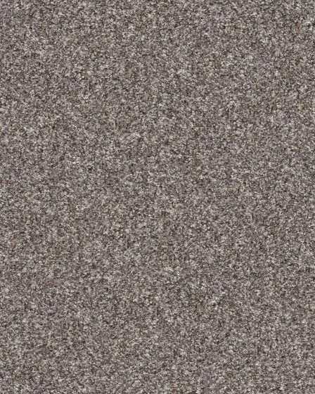 Confidence II Alaskan Air Textured Carpet