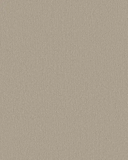 Crafted Tone 43oz Pet Friendly Patterned Carpet
