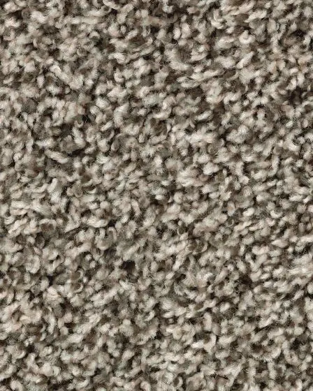 Designers Touch Textured Triexta 25oz Carpet