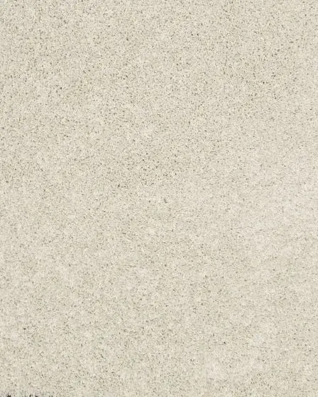 Diffurent Choice II 45oz Pet Friendly Carpet