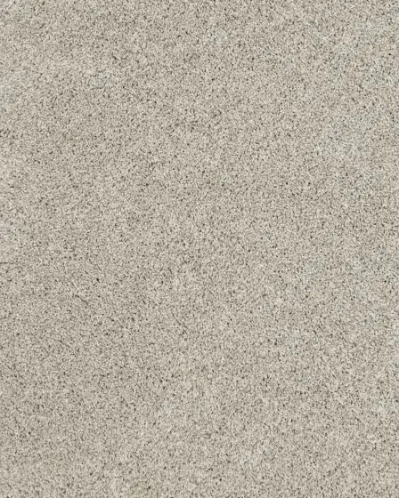 Diffurent Choice III 58oz Pet Friendly Carpet