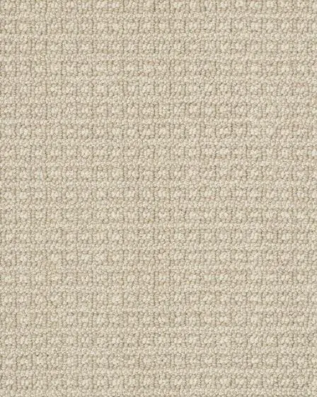 Fetch Pet Friendly Nylon 31oz Pattern Carpet