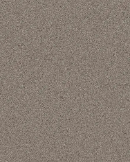 Flawless Beauty II Pebble Stone Textured Pet Friendly Carpet