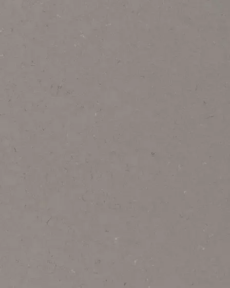 Fossil Gray Quartz Countertop