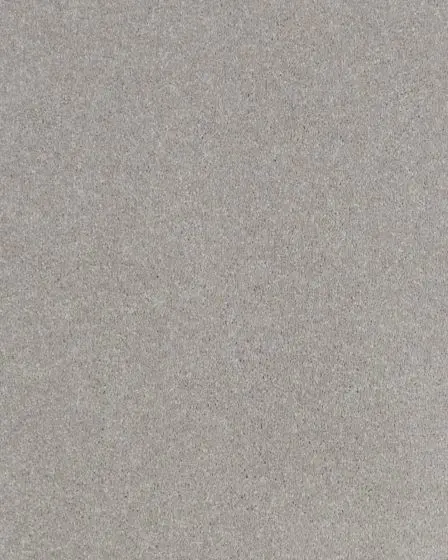 Impressive Shades Textured 50oz Carpet