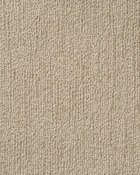 True North Patterned Nylon Blend Carpet