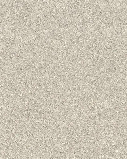 In Style Patterned 34oz Carpet