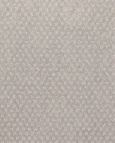 Greenwich Style Smartstrand 48oz Carpet
