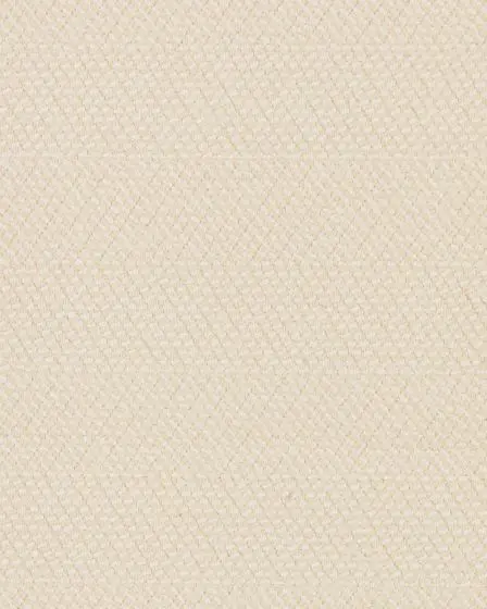 Motley Patterned Kashmere 46oz Carpet