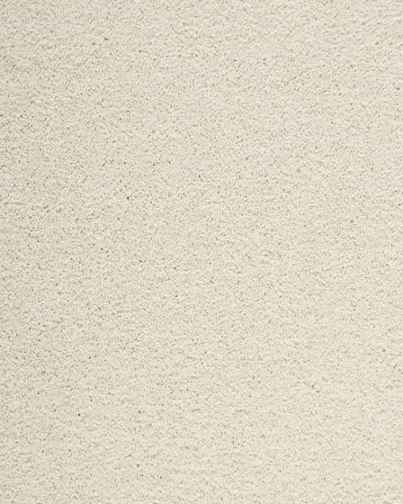 Delightful Intent SmartStrand 42oz Carpet