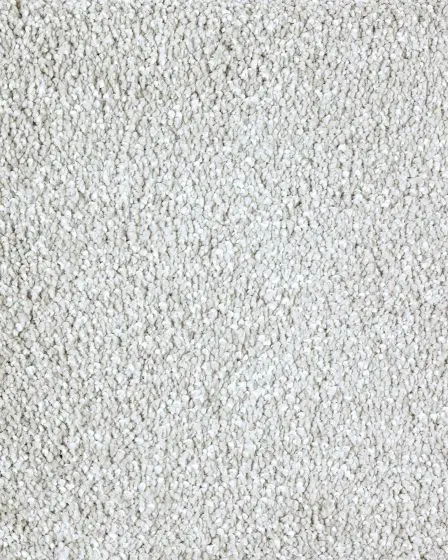 Lavish Approach Textured SmartStrand Carpet