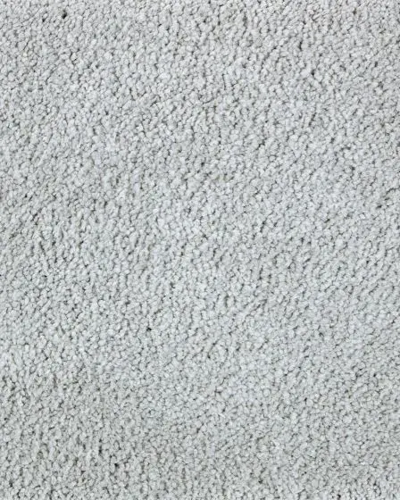 Lavish Touch Textured SmartStrand Carpet