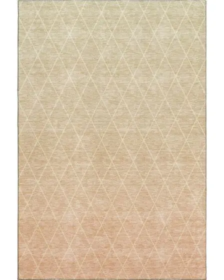 Lazio LZ2 Salmon Area Rug