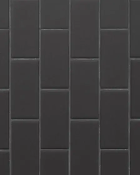 Le Cafe Black Matte Porcelain 2"x4" Tile