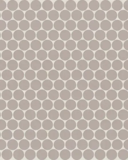 Marin Coastal Cliff Matte Porcelain 3/4" Penny Mosaic Tile