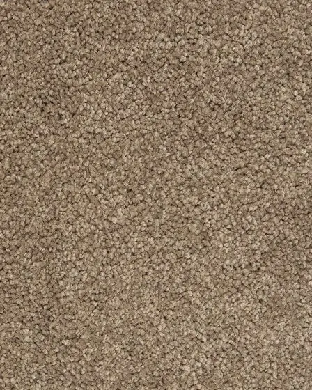 Mellow Retreat Textured SmartStrand Carpet