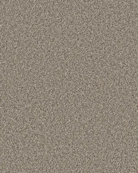 Mirador Textured 73oz Carpet