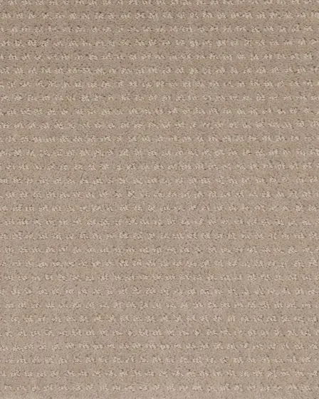 Luxurious Moment Patterned SmartStrand Carpet